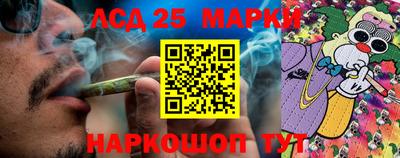 Альфа ПВП Можга