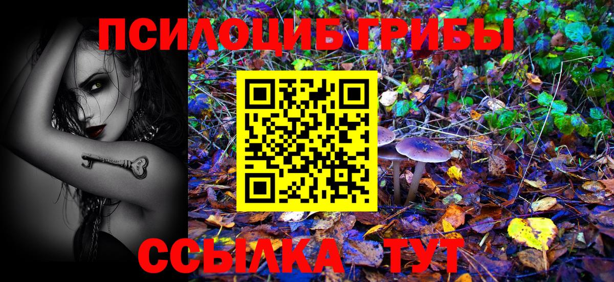 Псилоцибиновые грибы Psilocybe Урус-Мартан